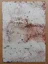 TMDI-010e, Transmission, Thiemoko Diarra, 2024, Earth Pigments on Paper, 42x29.7cm.webp