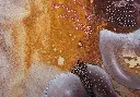 TMDI-013c, Untitled, Thiemoko Diarra, 2024, Earth Pigments on Paper, 24x32cm.webp